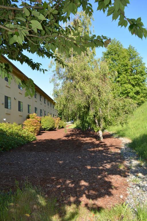 Super 8 By Wyndham Port Angeles At Olympic National Park Motel Exterior foto